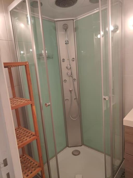 Bel Appartement Au Calme Avec Parking Lyon Dış mekan fotoğraf